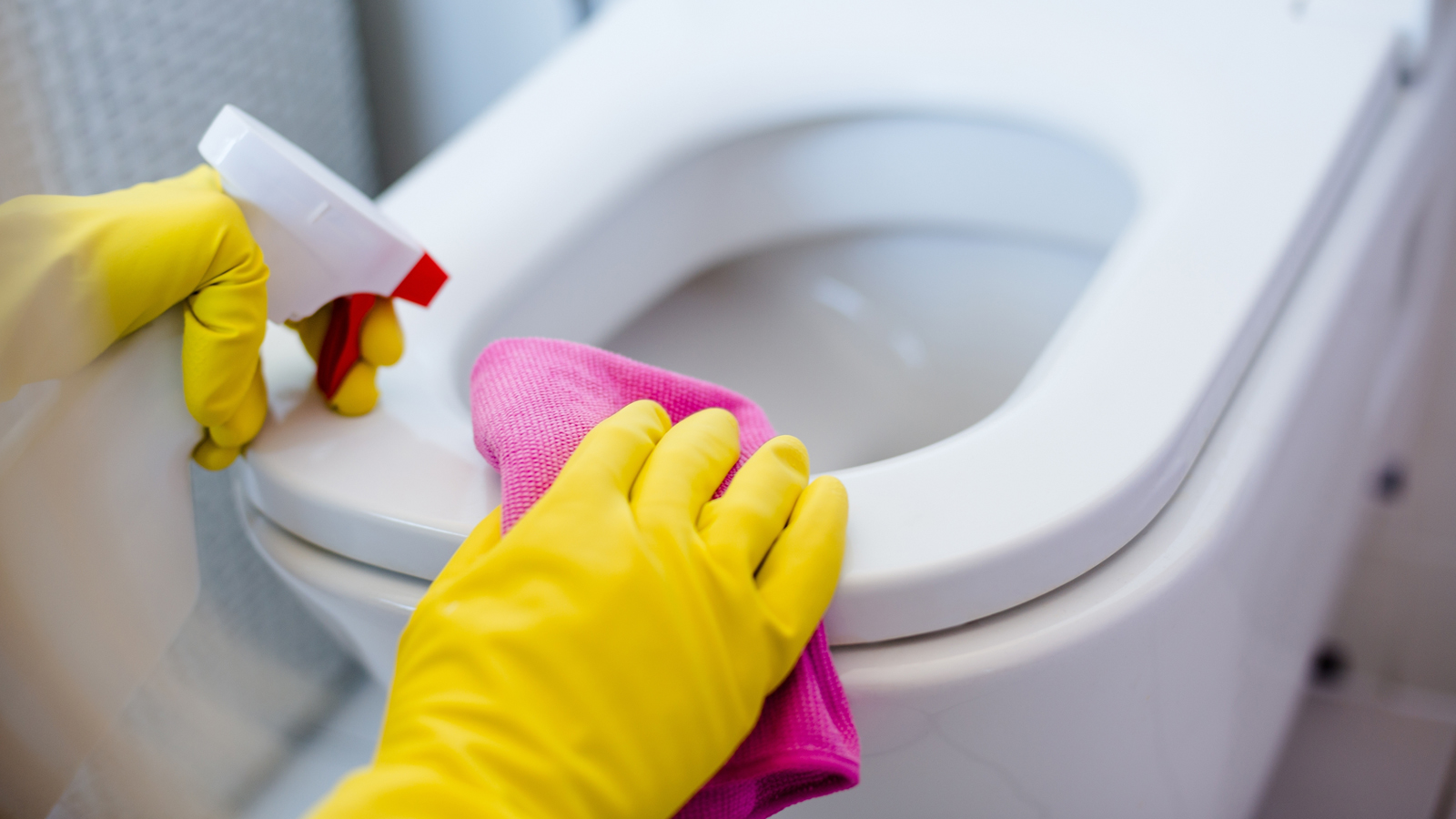 Test sui detergenti per il bagno